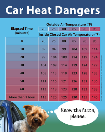 Dog Car Heat Chart