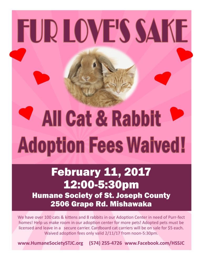Fur Love S Sake Free Cat And Rabbit Adoption Event Humane