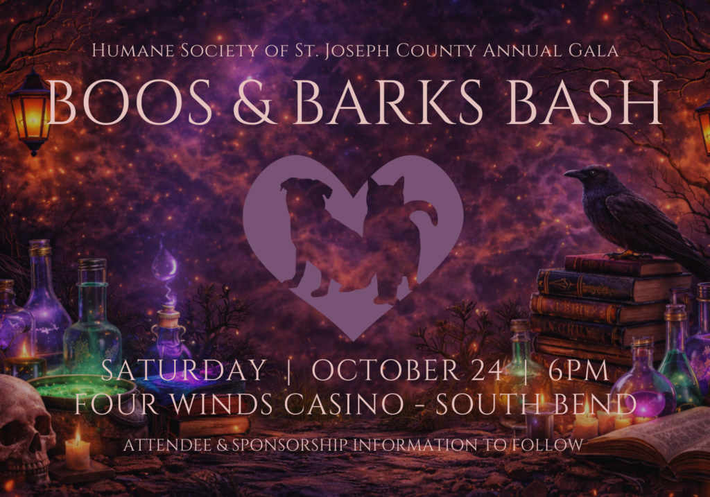 BOOS & BARKS BASH CONFIRMED-2