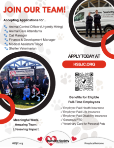 Hiring Flyer June 2026
