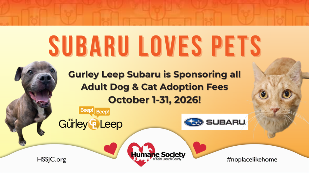 Subaru Loves Pets 2026
